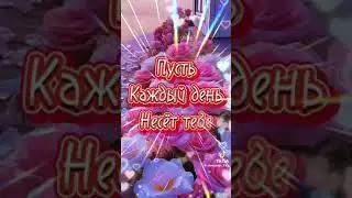 Всех женщин, девушек поздравляю с днём матери. Будьте здоровы, счастливы и любимы.
