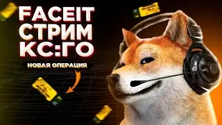 СТРИМ КС ГО/СТРИМ ПО КС ГО/ CТРИМ CS:GO, STREAM CSGO .ОТ 1 СИЛЬВЕРА ДО ГЛОБАЛА/ FACEIT ФЕЙСИТ