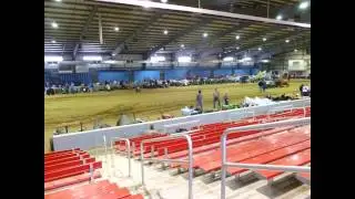 Pictures NQS Sturgis, KY 2012