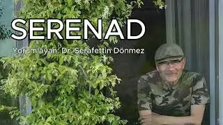 Serenad - Ahmet Muhip Dranas | Yorumlayan: Şerafettin Dönmez