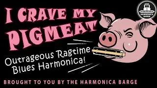 Outrageous Ragtime Piedmont Blues Harmonica- I Crave my Pigmeat