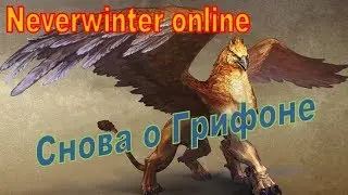 Neverwinter online. Снова о грифоне. Осада Невервинтера.