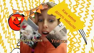 Что Случилось с УЛИТКАМИ? Онет Они Умерли😞 Спасение улитки от БОЛЕЗНИ + Кладка ЯИЦ 🎁