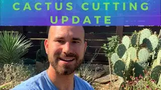 Cactus Cutting Update / Colorful Gardener