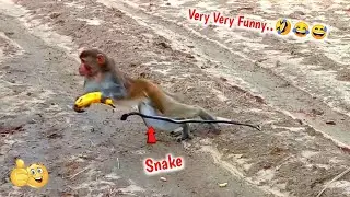 Fake Snake Prank On Monkeys Hilarious Funny Reaction | You Can't Stop Laughing-Must Watch-Part 11