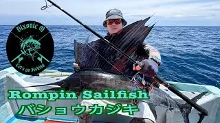 DQ Sports fishing Sailfish in Rompin Malaysia
