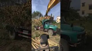 Driving and pulling wood not only requires skills, but also requires enough courage