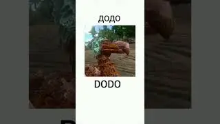 ARK MOBILE DUBSTEP