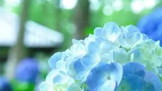 【フリーBGM】InKF - 涼暮月【オリジナル曲】
