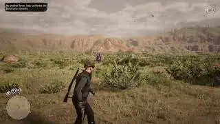 RDR2