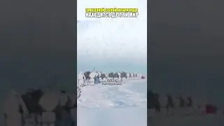 За ледяной стеной Антарктиды находится другой мир