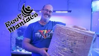 Unboxing Kenyan Fish and Invert Shipment