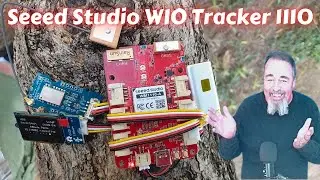 Flashing Meshtastic on the WIO Tracker 1110 from Seeed Studio