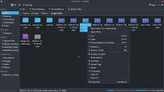 Adding Bash scripts to Plasma (Dolphin's) right click menu and add a folder to PATH