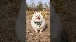 Do you like fudge? 