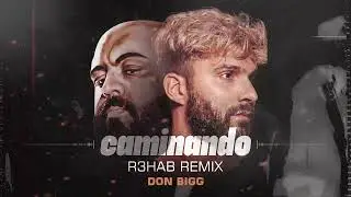 Don Bigg - Caminando (R3HAB Remix) (Official Visualizer)