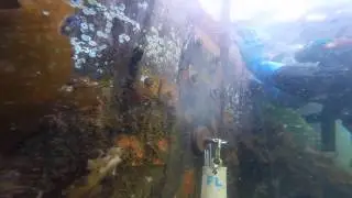 Marina Underwater Construction
