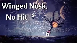 How to beat Winged Nosk (Radiant) | Hollow Knight