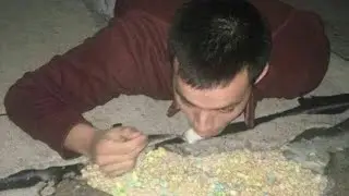 Videos I Found on Reddit 