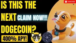 How To Claim + Stake Your Chihuahua Airdrop? EARN PASSIVE INCOME BY STAKING 400% YEARLY