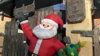С Новым годом, животные! или Сытая жизнь в зооуголке...