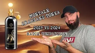 Montale Arabians Tonka | 2019 VS 2024 Batch Comparison