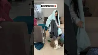 Pet Shop chegou bem na hora que comecei o vídeo😂 por isso da pressa