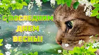 С Последним днём Весны! Красивое поздравление с последним днем весны!