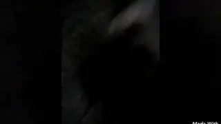 Моя собака танцует