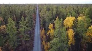Гравийка в тайге 2