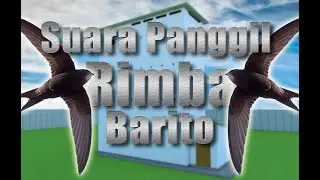 SP RIMBA BARITO