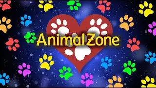 AnimalZone - Season 4 Promo (Nevada Market)