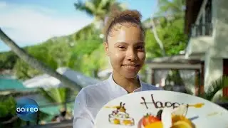 Young Seychellen: Zwischen Paradies und Wirklichkeit