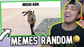 REACCIONANDO A MEMES RANDOM 