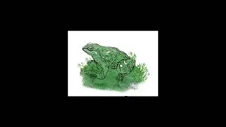 How to Create A Vibrant Linocut Art in Procreate with my Linocut Brush Set