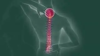 WAVES21 Metameric Stimulation