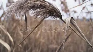 Anar Baylar - Sənə Tələsirəm