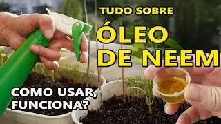 Does Neem Oil REALLY Kill? Discover the Truth about this Natural Repellent