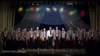 Козака несуть. Розмай. сл. і м. народні. аранж. А. Попруги. обр.  О. Токар