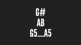 G5 Sharp & A5 Flat