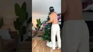 Setting up my Christmas Tree