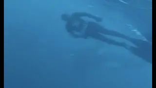 Freediving with Orcas in Norway