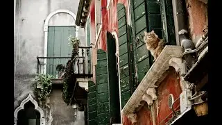 Арт-лайн с Владимиром Корольковым.10