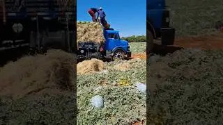 Погрузка 🍉🚛💨