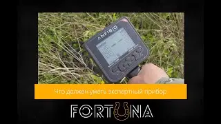 Что должен уметь прибор уровня Эксперт - Nokta Anfibio