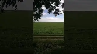 14 октября 2024 г.