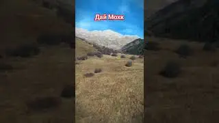РЕСПУБЛИКА ИНГУШЕТИЯ! ДАЙ МОХК #ingushetia