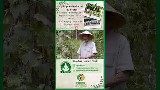 Limpia tu orina  - FADCAMPO  