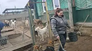 Семейный подряд