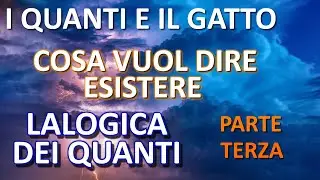Quanta and the Cat: What Does It Mean to Exist? - Quantum Logic, Part Three